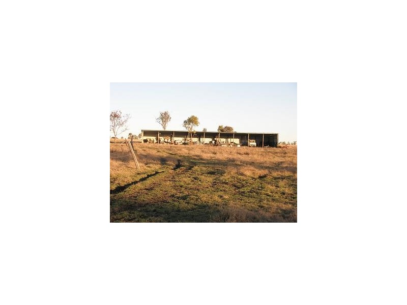 Nebo QLD 4742