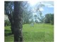 Nebo QLD 4742