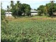 00 ABINGDON DOWNS, Nebo QLD 4742