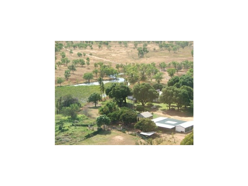 00 ABINGDON DOWNS, Nebo QLD 4742