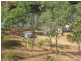 00 ABINGDON DOWNS, Nebo QLD 4742