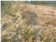 00 ABINGDON DOWNS, Nebo QLD 4742