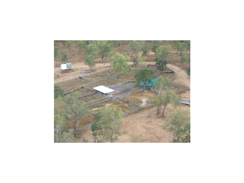 00 ABINGDON DOWNS, Nebo QLD 4742