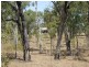 Nebo QLD 4742