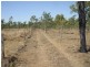 Nebo QLD 4742