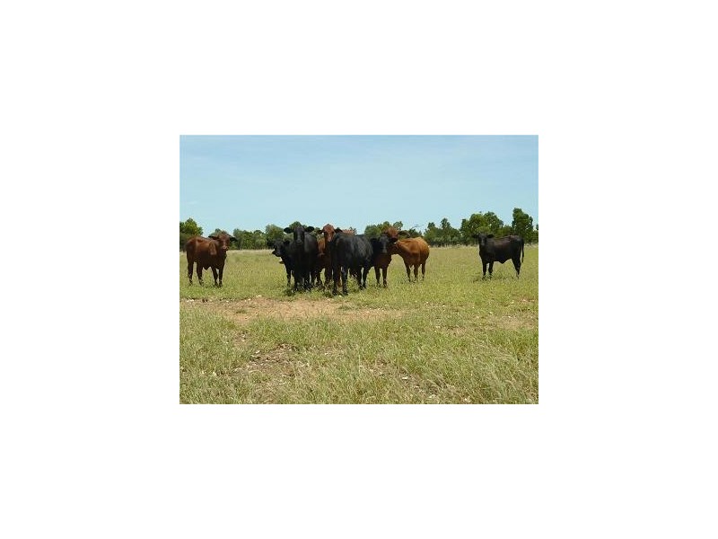 0 Lagoon Park, Jericho QLD 4728