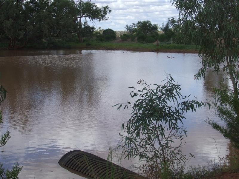 COPARELLA  QUILPIE – Toompine Road, Quilpie QLD 4480