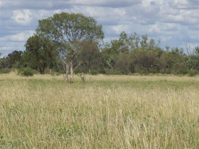 COPARELLA  QUILPIE – Toompine Road, Quilpie QLD 4480