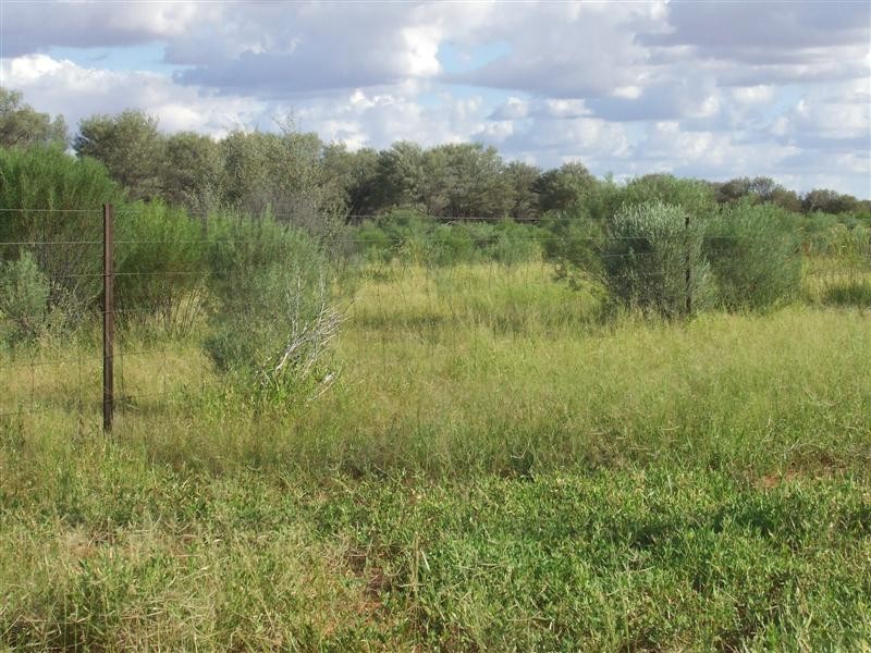 COPARELLA  QUILPIE – Toompine Road, Quilpie QLD 4480