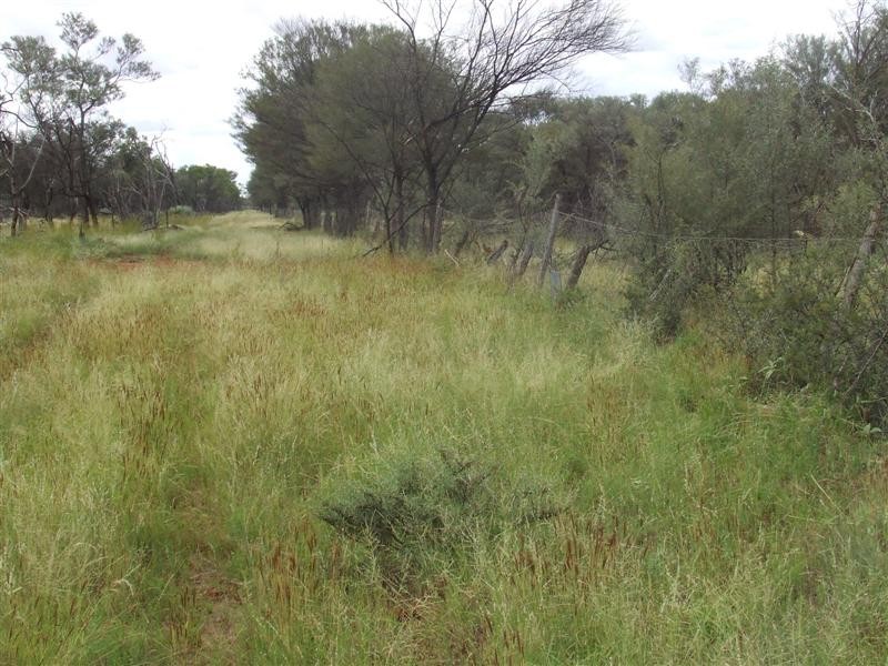 COPARELLA  QUILPIE – Toompine Road, Quilpie QLD 4480