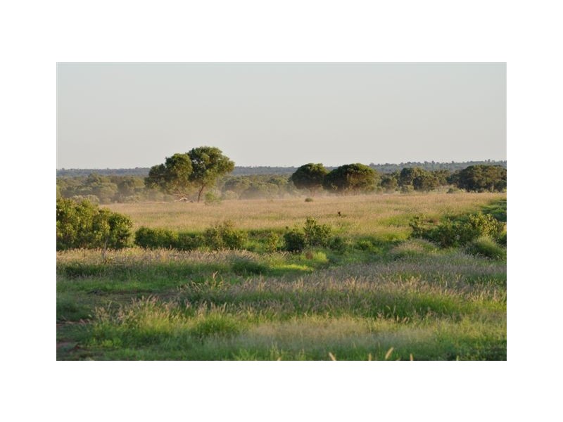 00 MACFARLANE DOWNS ROAD, Blackall QLD 4472