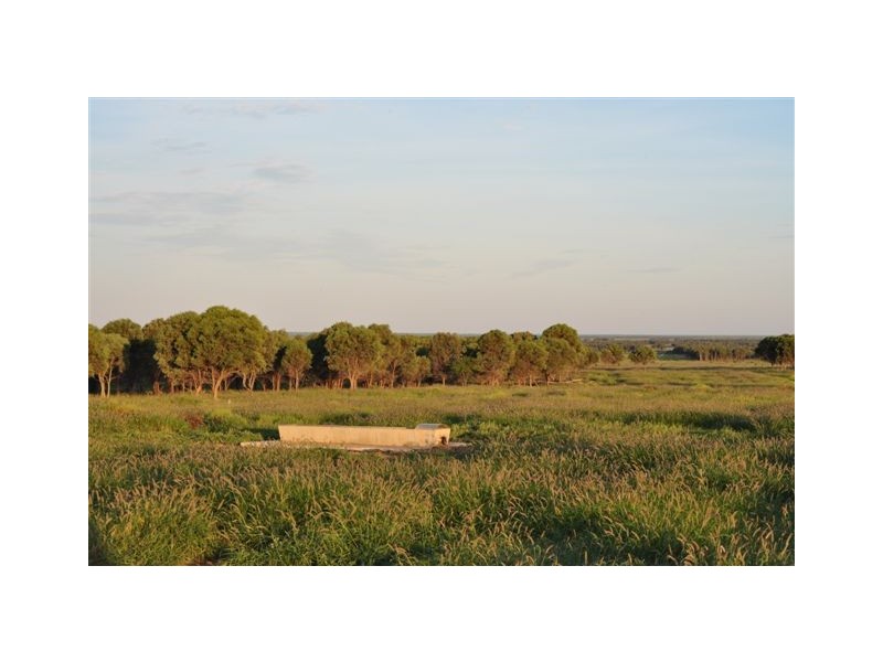 00 MACFARLANE DOWNS ROAD, Blackall QLD 4472