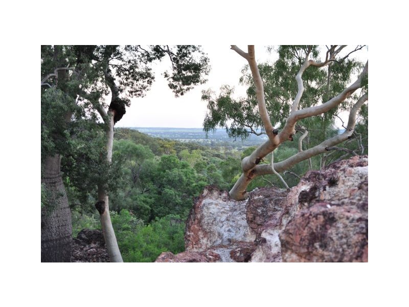 00 MACFARLANE DOWNS ROAD, Blackall QLD 4472