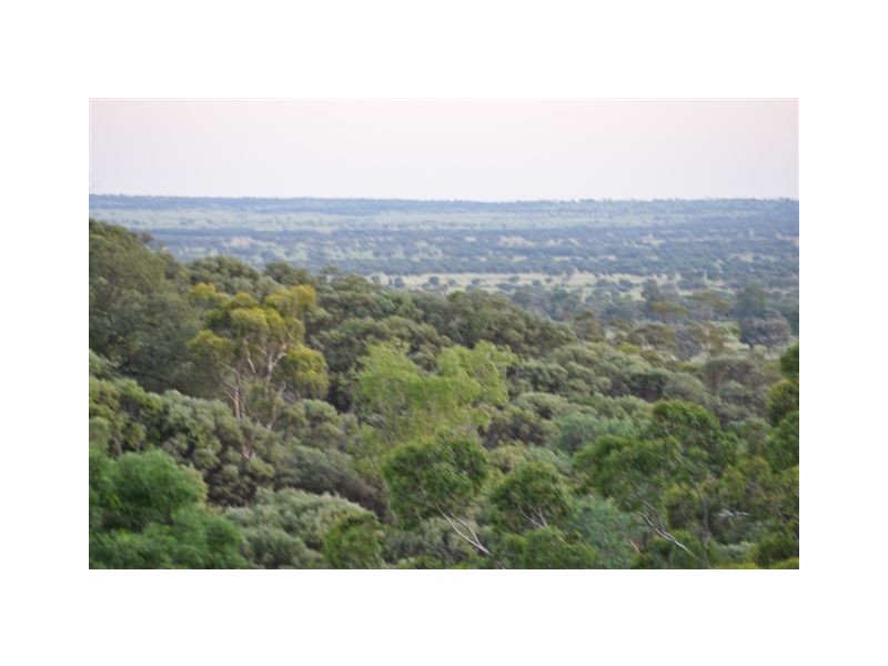 00 MACFARLANE DOWNS ROAD, Blackall QLD 4472