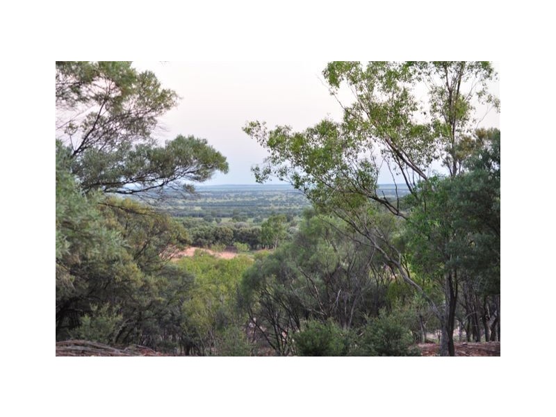 00 MACFARLANE DOWNS ROAD, Blackall QLD 4472