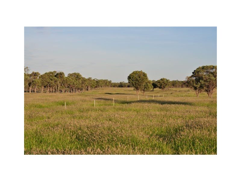 00 MacFarlane Road- Landsborough Hwy, Blackall QLD 4472