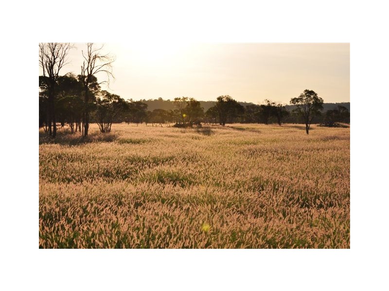00 MacFarlane Road- Landsborough Hwy, Blackall QLD 4472