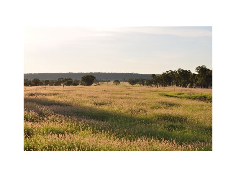 00 MacFarlane Road- Landsborough Hwy, Blackall QLD 4472