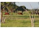 00 MacFarlane Road- Landsborough Hwy, Blackall QLD 4472