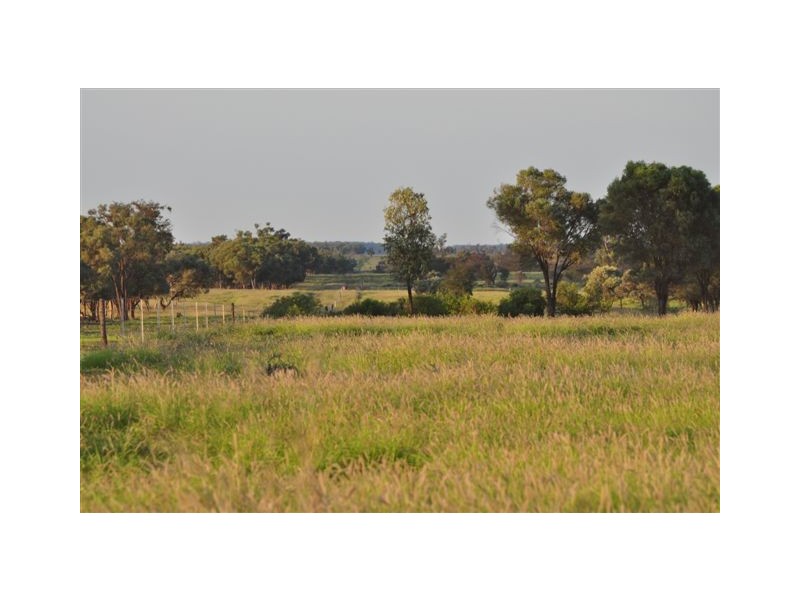 00 Macfarlane Downs Rd- Landsborough Hwy, Tambo QLD 4478