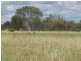 COPARELLA  COPARELLA QUILPIE – Toompine Road, Charleville QLD 4470