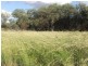 COPARELLA  COPARELLA QUILPIE – Toompine Road, Charleville QLD 4470