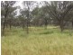 COPARELLA  COPARELLA QUILPIE – Toompine Road, Charleville QLD 4470