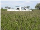3852  HAZELWOOD, Nebo QLD 4742
