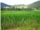 Mount Ossa QLD 4741