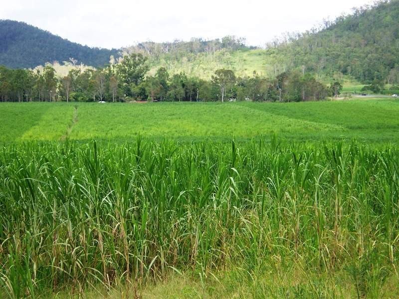 Mount Ossa QLD 4741