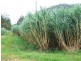 Mount Ossa QLD 4741
