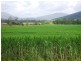 Mount Ossa QLD 4741