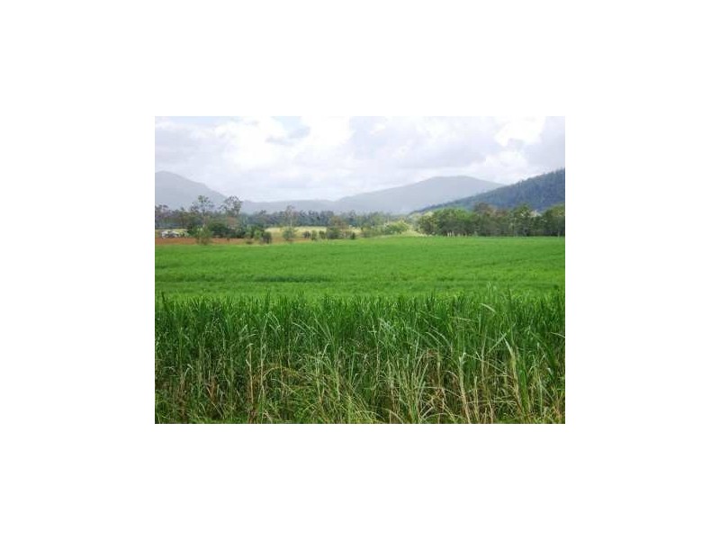 Mount Ossa QLD 4741