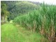 Mount Ossa QLD 4741