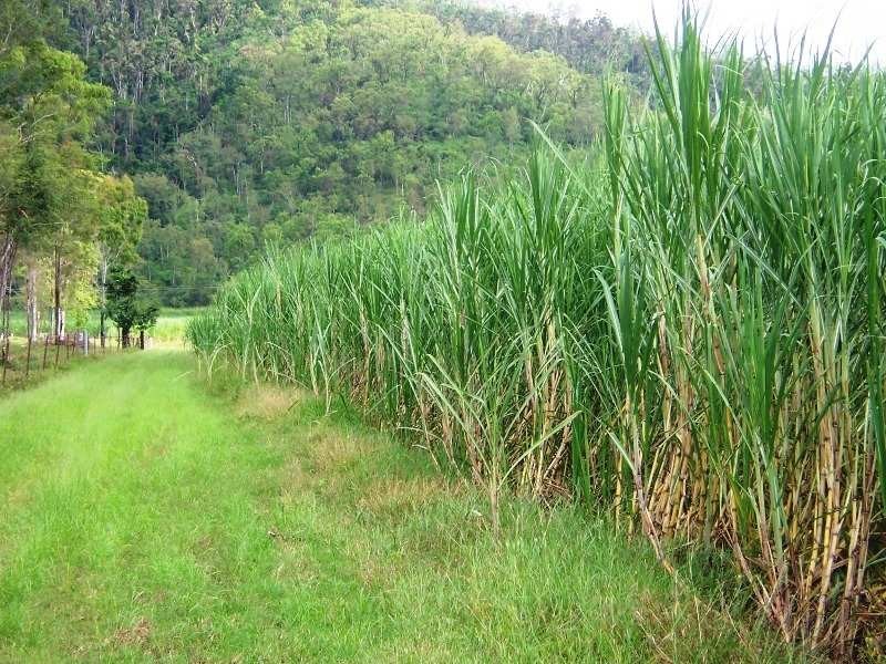 Mount Ossa QLD 4741