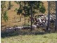 Nebo QLD 4742