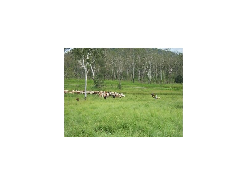 Nebo QLD 4742