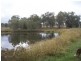 Nebo QLD 4742