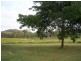 Nebo QLD 4742