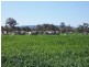 0 O’SULLIVAN ROAD, Mirani QLD 4754