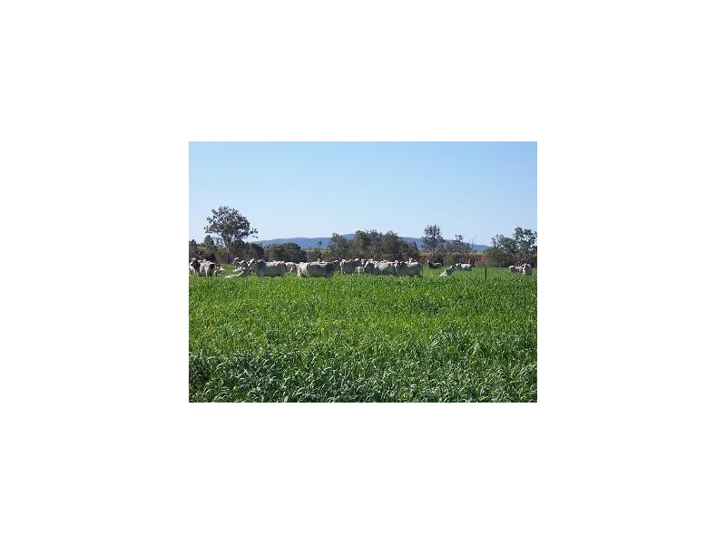 0 O’SULLIVAN ROAD, Mirani QLD 4754