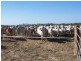 0 O’SULLIVAN ROAD, Mirani QLD 4754