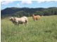 0 O’SULLIVAN ROAD, Mirani QLD 4754