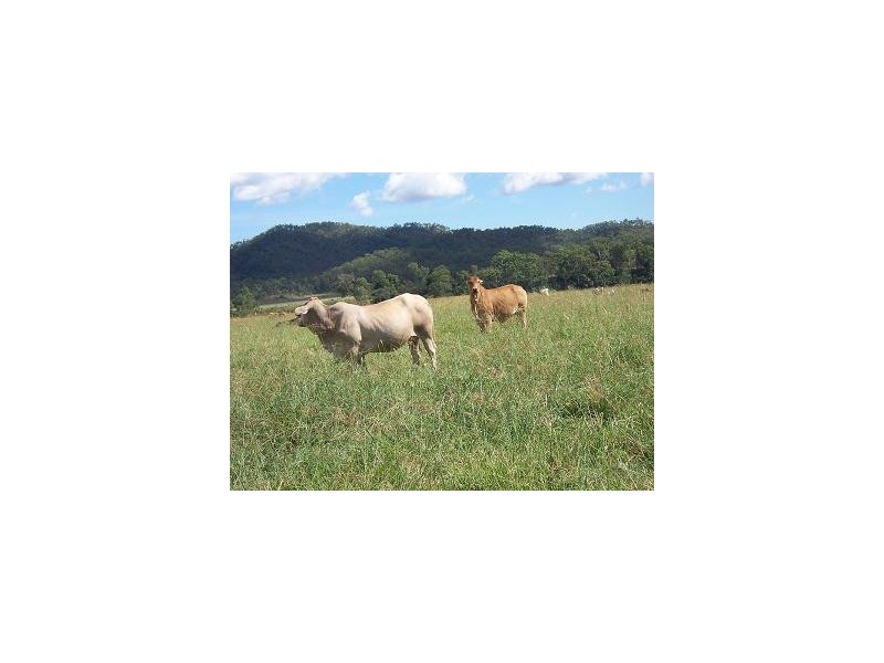 0 O’SULLIVAN ROAD, Mirani QLD 4754