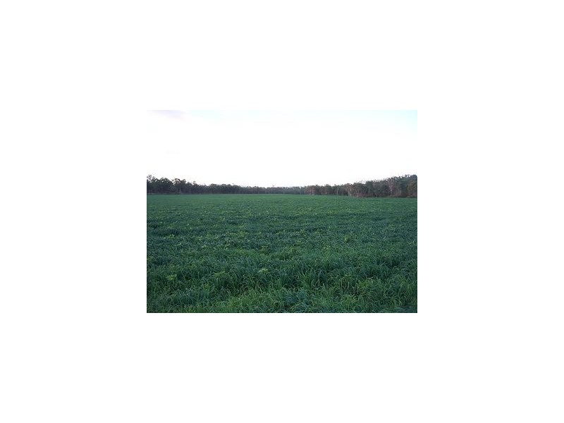 0 O’SULLIVAN ROAD, Mirani QLD 4754