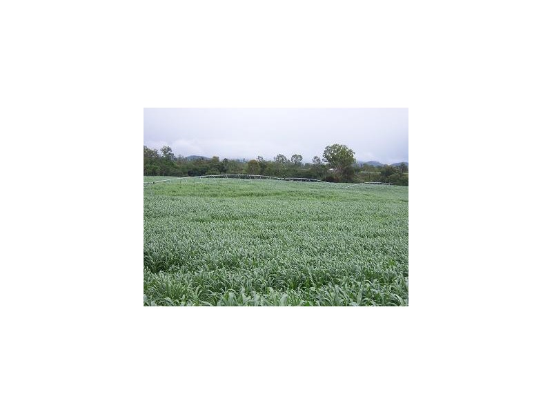 00 O’Sullivan Road, Mia Mia, Mirani QLD 4754