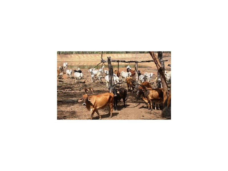 1  LYND JUNCTION ROAD, Einasleigh QLD 4871