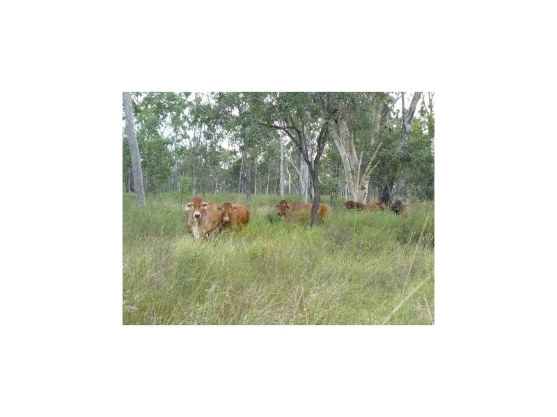 Coppabella QLD 4741