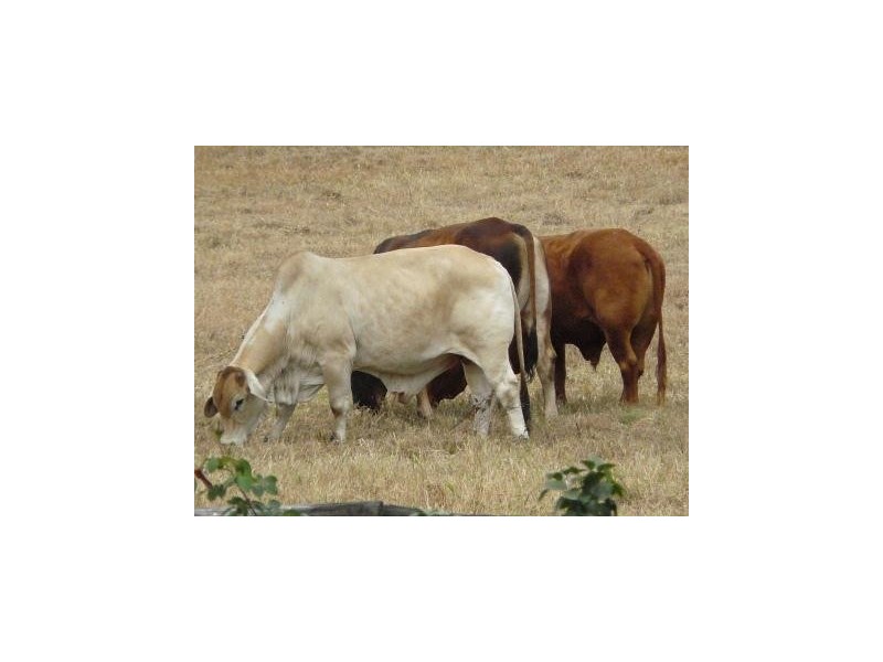 Coppabella QLD 4741