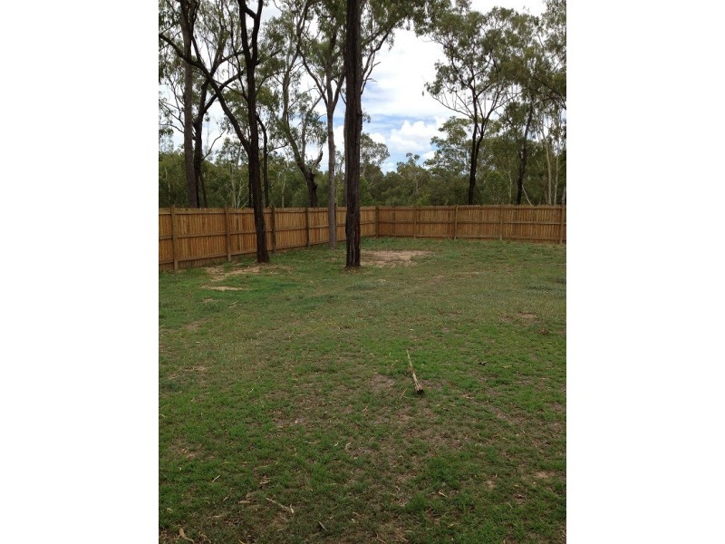 Nebo QLD 4742